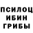 Псилоцибиновые грибы Magic Shrooms Anastasia Belugina