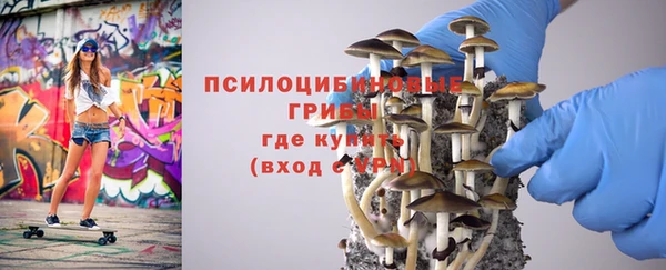 спиды Волосово